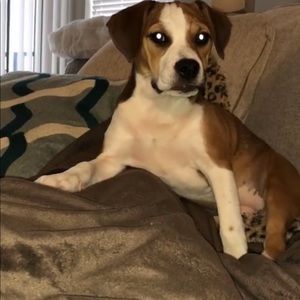 Meet your Posher, Diane